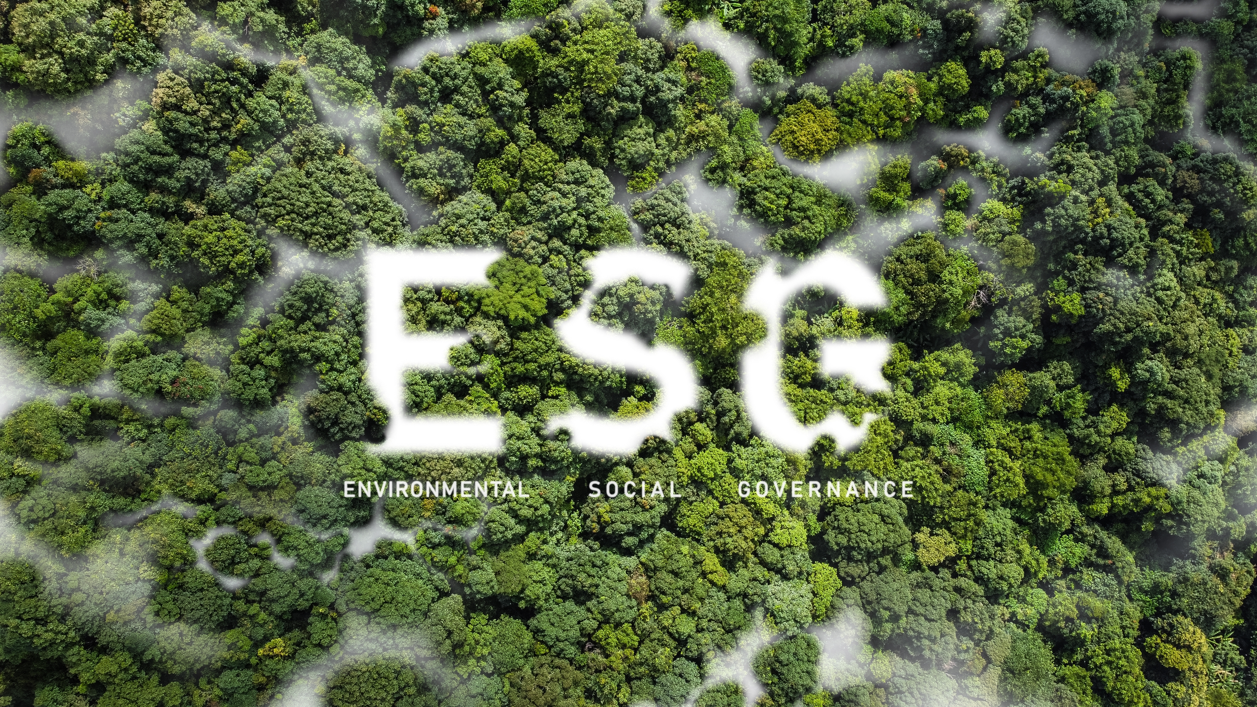 ܛͨESG2BAI1λ٤WindйψIESG٥ȥץ饯ƥȥå100˥󥯥