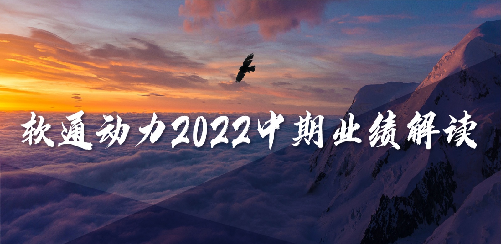 ʱ()ǲ!2022ҵʵΪӪȹһŻӪҵṹ